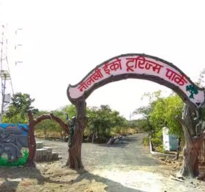 इको पार्क